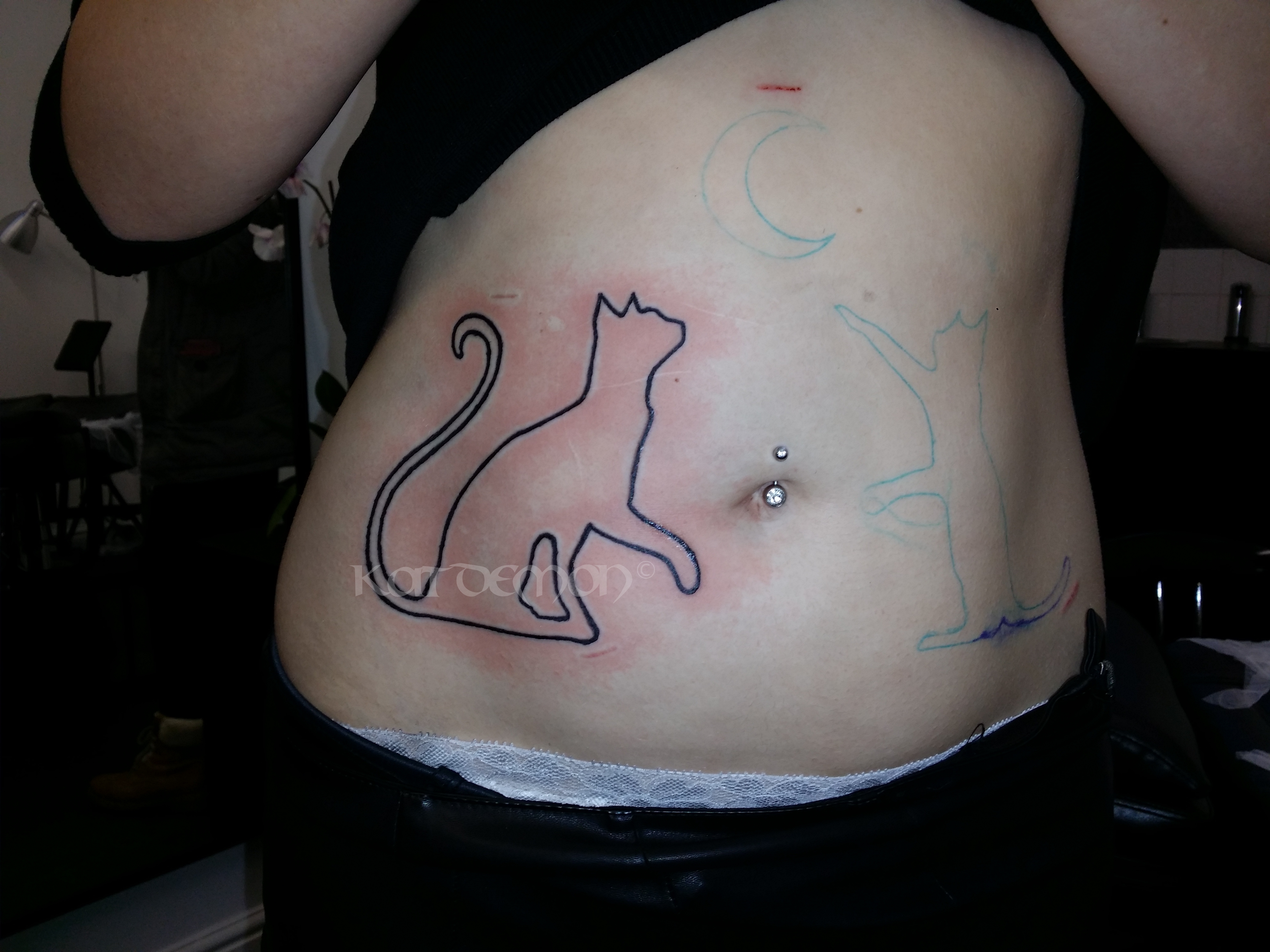 stomach cat outline tattoo